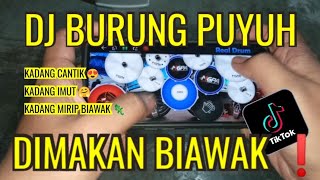 Download Dj Burung Puyuh Di Makan Biawak Tiktok Terbaru 2022 | Realdrum Cover Video MP3 Dj Burung Puyuh Di Makan Biawak Tiktok Terbaru 2022 | Realdrum Cover