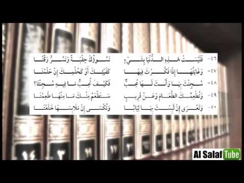 منظومة الألبيري 46 50