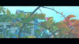 Dhakaneutral Beauty Dab Nationrendom-1