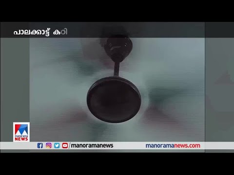 പാലക്കാട് 40 ഡിഗ്രി സെല്‍സിയസ് വരെ താപനില ഉയരും|Palakkad | Heat
