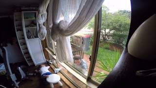 Amelia Cleaning Windows