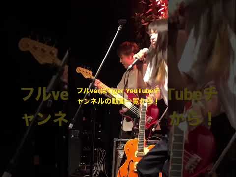 the Tiger with リクオlive in 磔磔#shorts #theTiger #ザタイガー　#リクオ #バンド