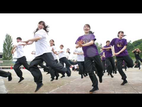 大阪大学お祭りダンスサークル祭楽人 堺よさこいかえる祭り2017　交流広場会場