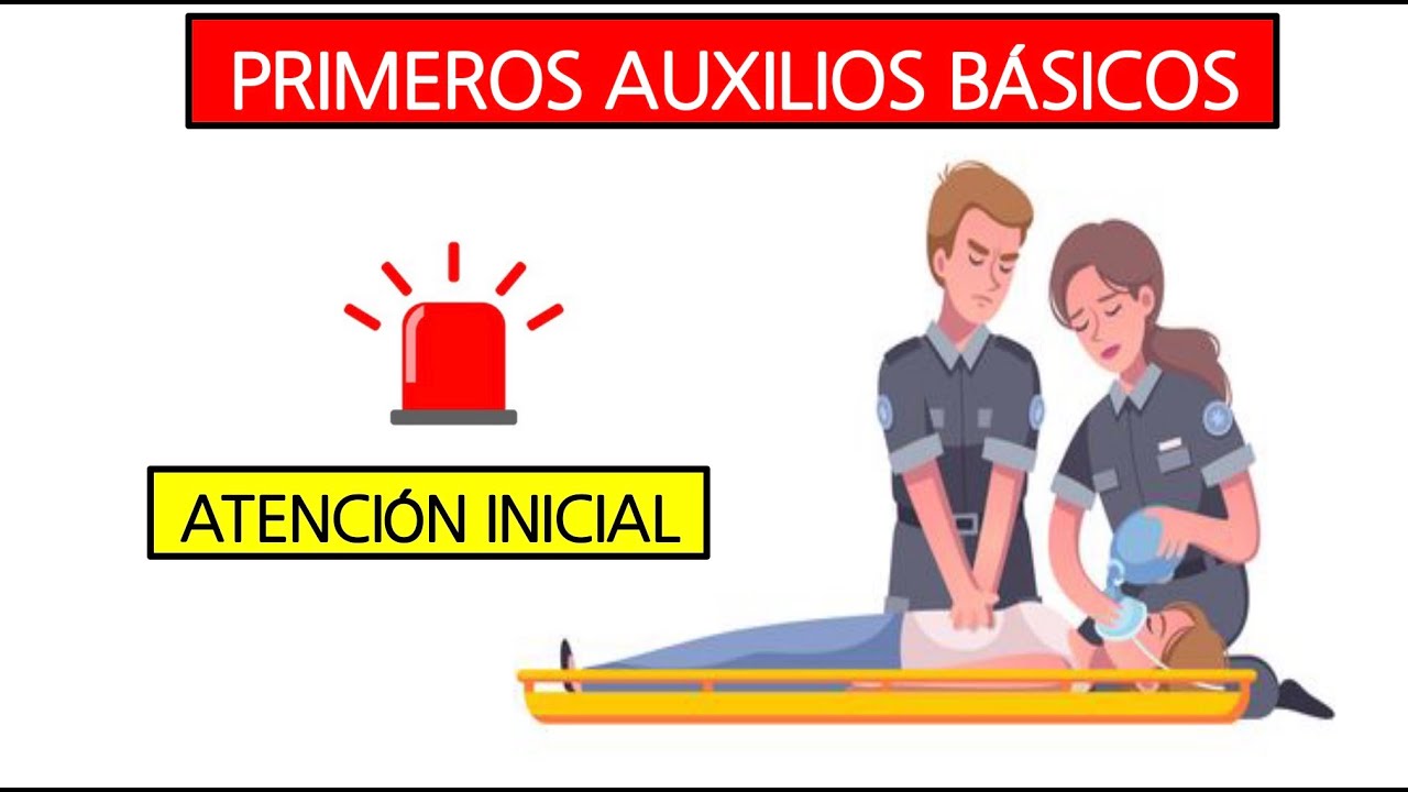 Primeros auxilios básicos y avanzados: Evaluación de la Escena - YouTube