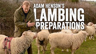 The Crucial 7 Steps for a Successful Lambing Season... Adam Henson