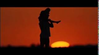 Multifamilies - Yellow