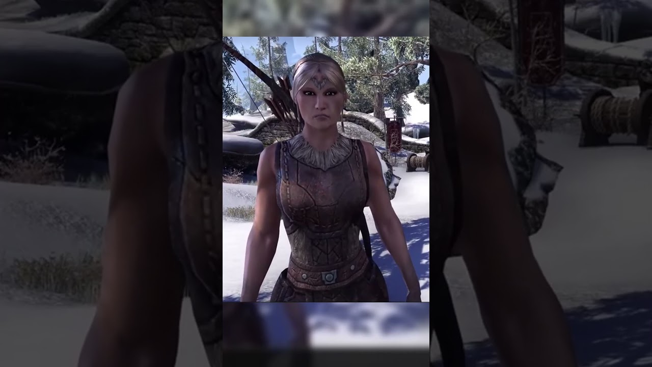 The Skeever Rescue Mission of Bleakrock