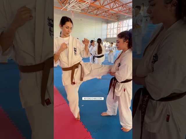 Cristian Boldut Fight Camp 2026 #kyokushin #shinkyokushin #karate #1kyokushin #一極真 #極真会館