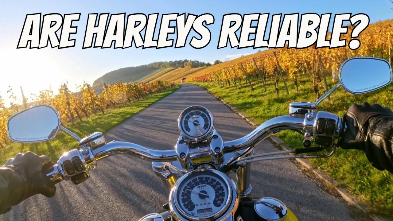 High-Mileage Harley? Here's What You NEED to Know Before Buying
