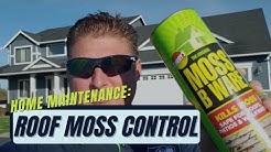 Home Maintenance Minute: Roof Moss Control