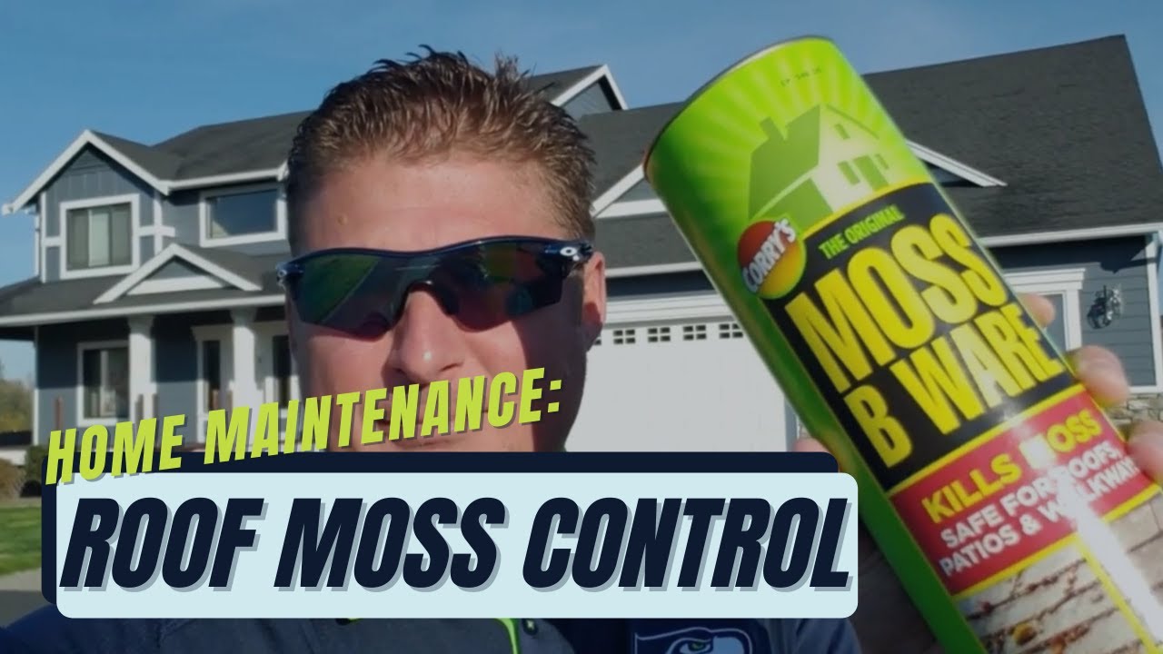 Home Maintenance Minute Roof Moss Control YouTube