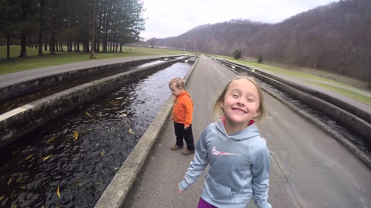 Bowden Fish Hatchery YouTube