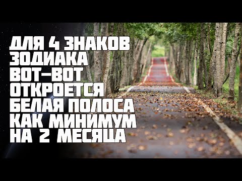 У 4 знаков Зодиака совсем скоро наступает белая полоса в жизни