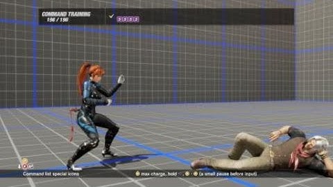 DEAD OR ALIVE 6: Brad Wong Combos