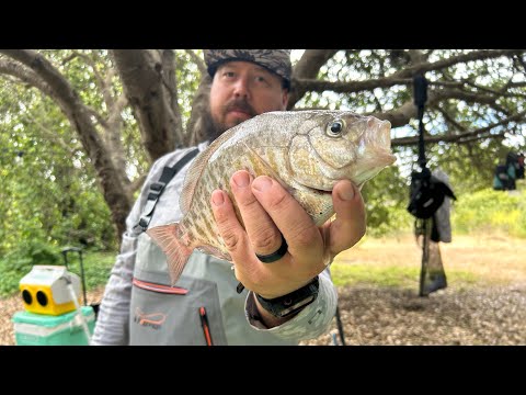 Video: Manresa State Beach - Camping Near Santa Cruz CA