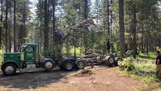 Self Loader