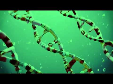 John Dyson — John Dyson - Evolution - Full Album - 2003