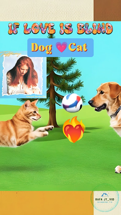 IF LOVE IS BLIND ~ Dog💗Cat Friendship!