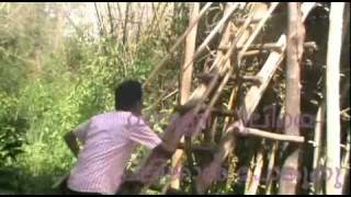 goodbye2007-11 CSA VJCET.mp4
