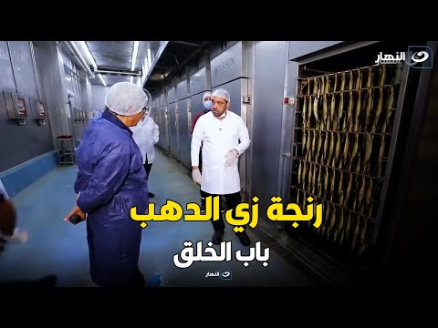 الرنجة في مصانع أبوالسيد زي الدهب رنجة عيار 21 و رنجة عيار 24 