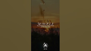 قران كريم |
