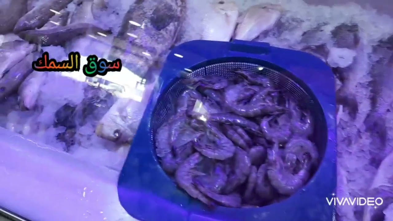 # مدينة العقبة  # الحفاير # سوق السمك