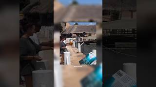 Dolphin playing catch with visitors ☺️ #shorts #wholesomecontent #vviralshorts #dolphins