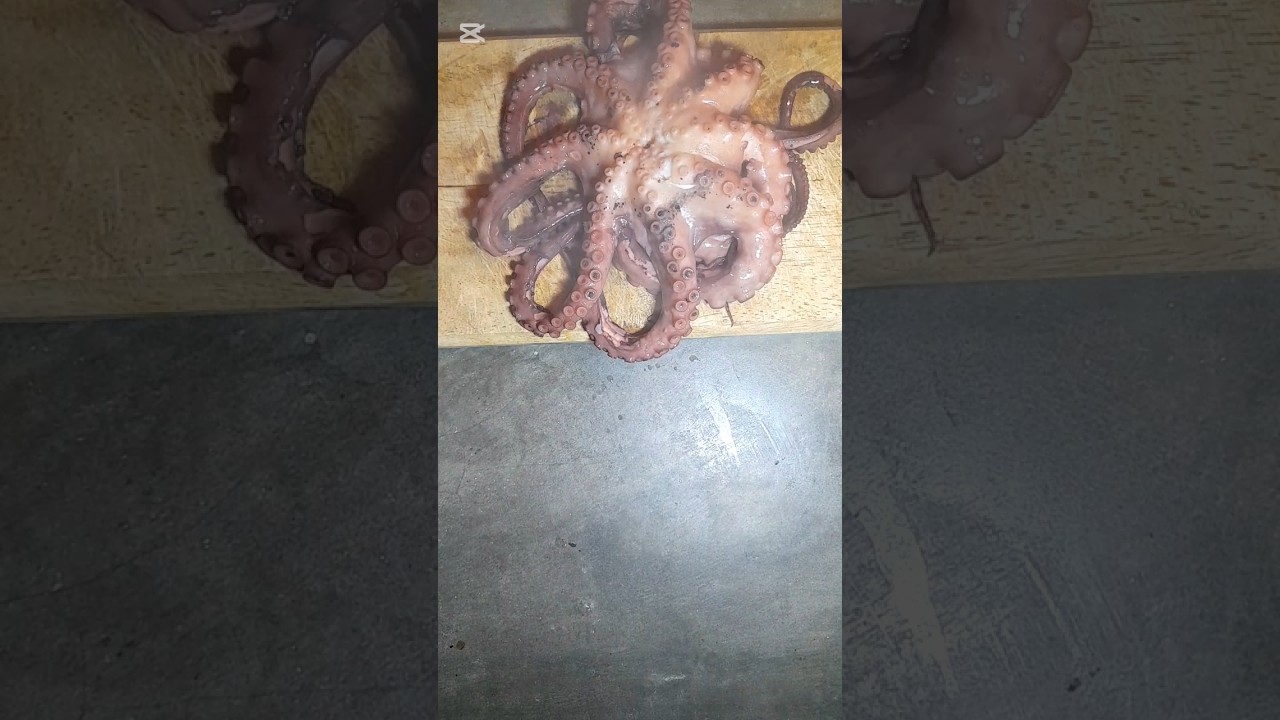I cooked an OCTOPUS