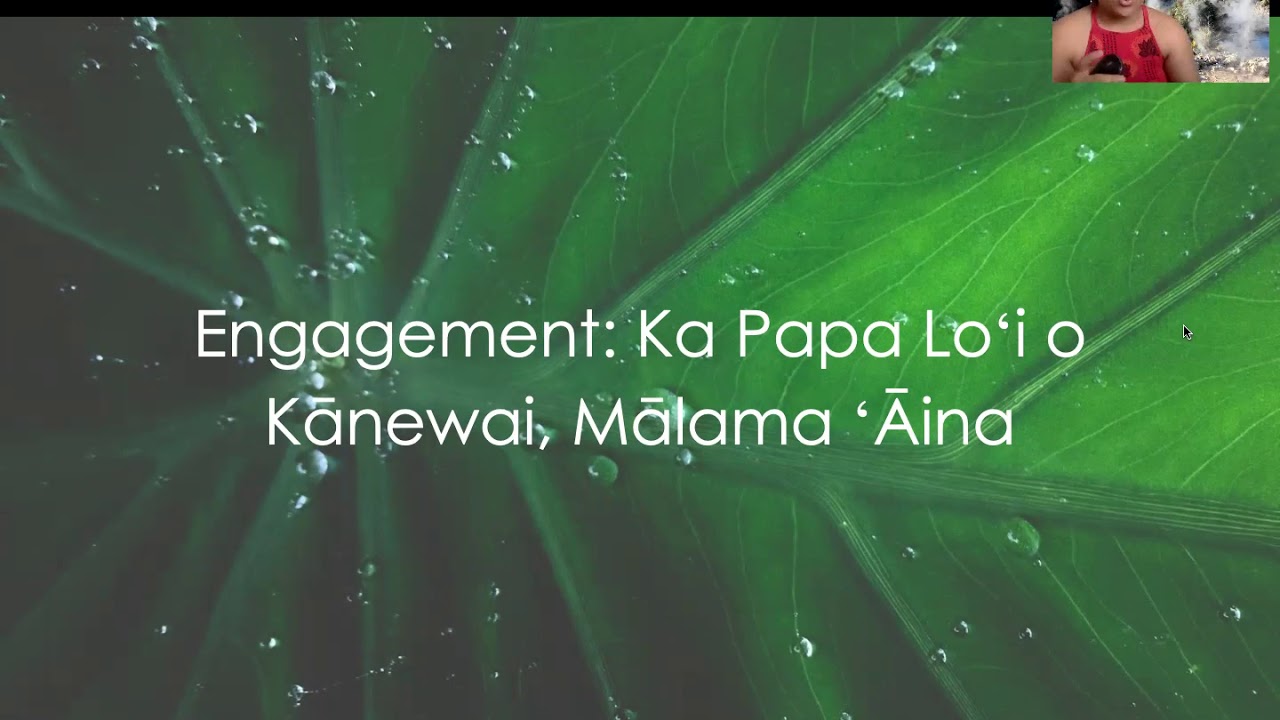 HON 333 Ted Talk: Education Through ʻĀina