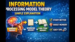 Information Processing Model Explained