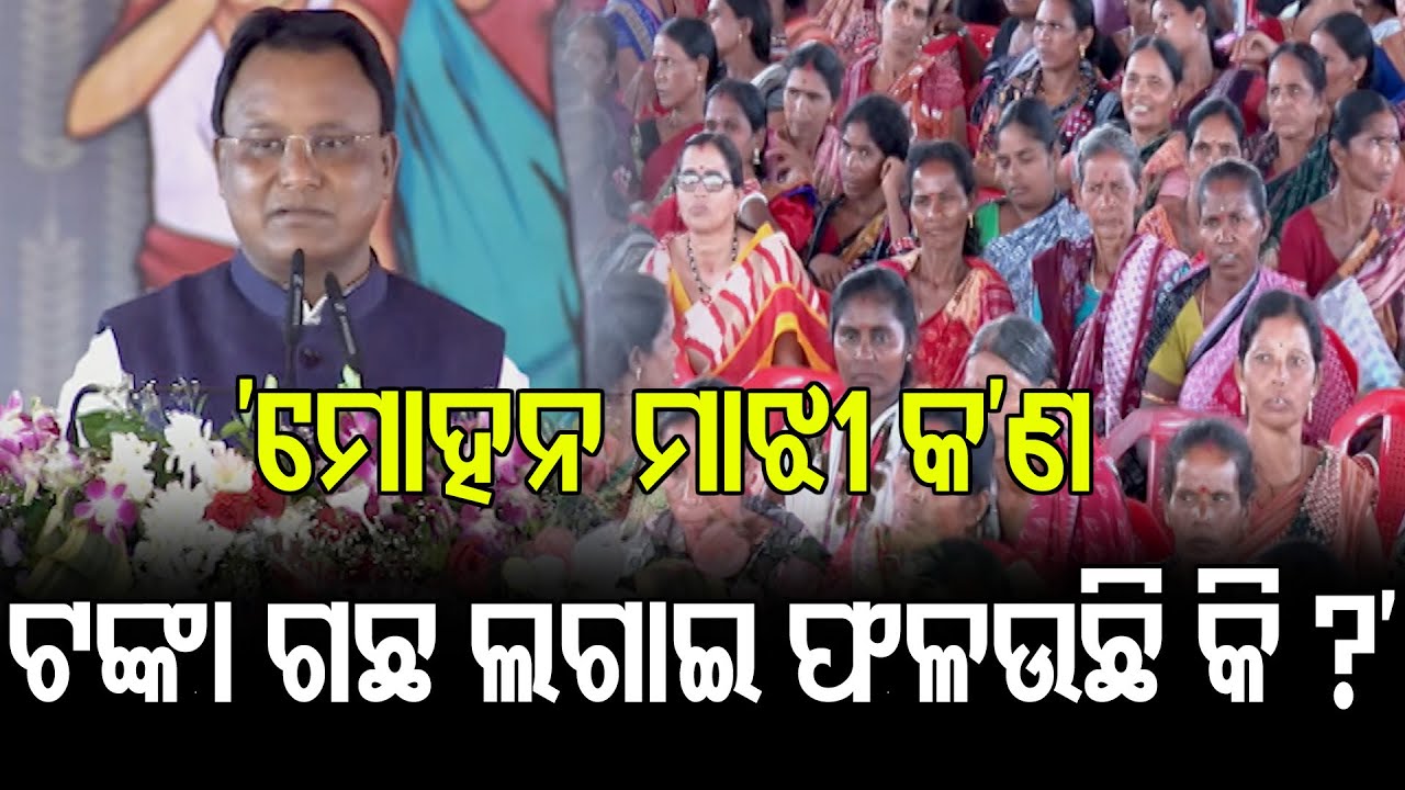 ‘ମୋହନ ମାଝୀ କ’ଣ ଟଙ୍କା ଗଛ ଲଗାଇ ଫଳଉଛି କି ?’ || CM Mohan Majhi || Odisha BJP Govt || Odisha Reporter