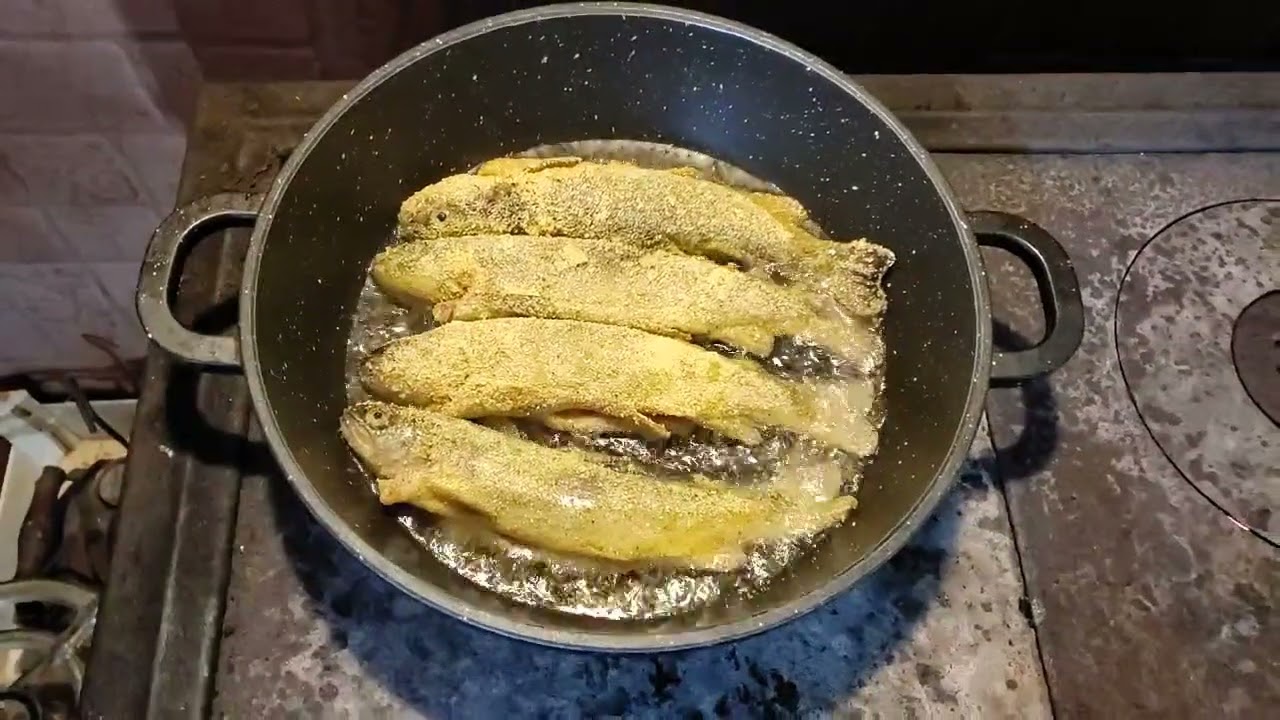 fish on the stove delicious