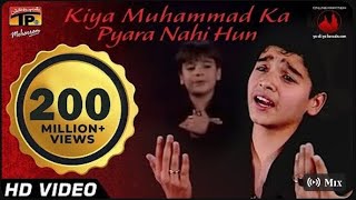Mix - kiya Muhammad ka pyara nahi hun ali ❤️‍🩹 ( official song ) ❤️‍🩹✅ #viral#vairalvideo#muhammadﷺ 