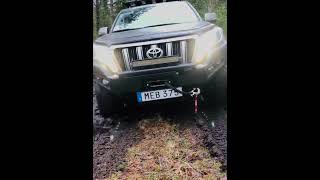 2020 In the forest