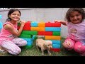 Elif Öykü ve Masal Köpeğine Kulübe Yaptı - Kids made Toy House for his Dog Pretend Play Fun Kid