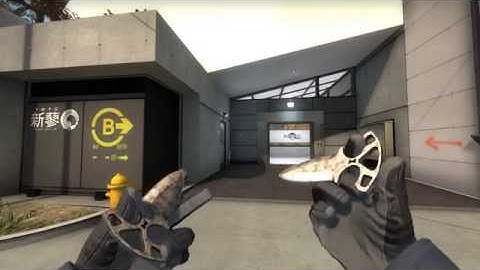 Shadow Daggers Stained - Factory New - CS:GO Skin Showcase