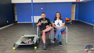 Tangos Owners Testimonial Blue Pitbull