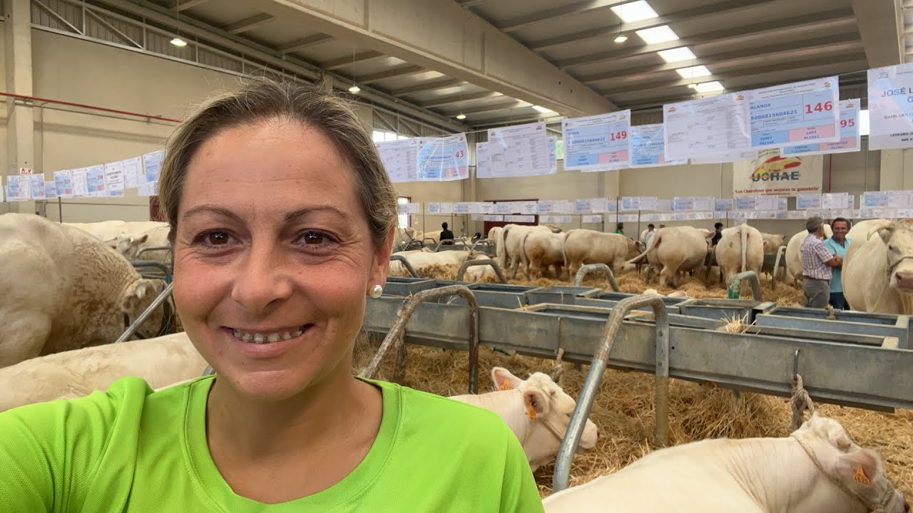 Pabellón de Charolesas en la feria de Salamaq 2023