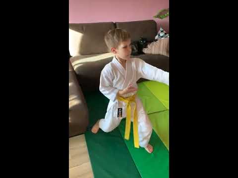 Home karate training