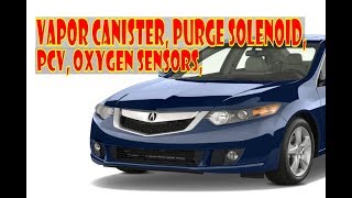 Acura TSX. Emissions locations:  PCV, Oxygen sensors, EVAP canister & purge