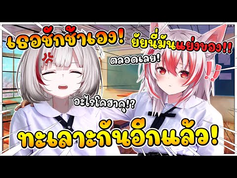 คุณครู ! เด็กหญิง ดิตโตะ กับ โคฮาคุ ทะเลาะกันอีกแล้ว !? โดนโคฮาคุโวยวายหนักมาก !! [ Vtuber ซับไทย ]
