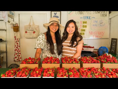 Granny Mays: Make this U-Pick Strawberry Farm a Family Tradition