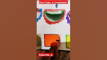 class 9 subject maths " types of polynomials working model #youtubeshorts  #kya loge tum🥰
