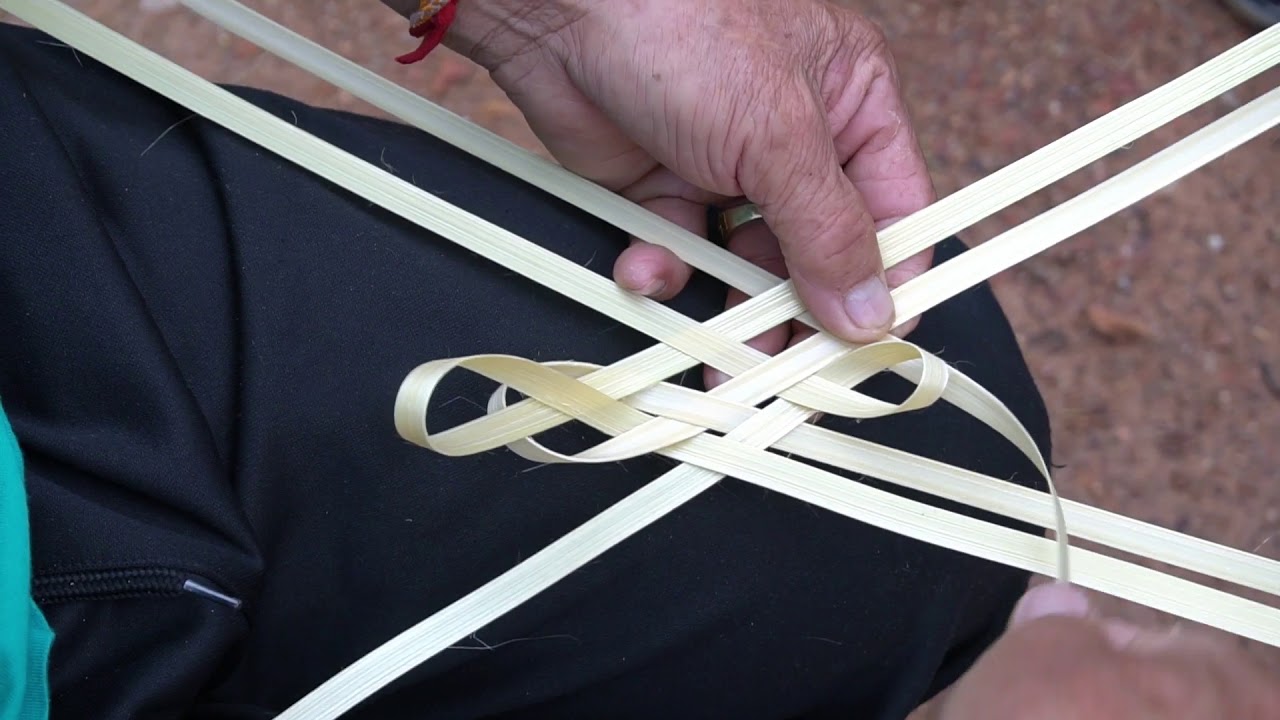 PRIMITIVE TECHNOLOGY USE BAMBOO TO BUILD A PIGEON & A BLACK BIRD