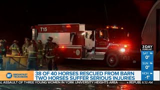 Horses killed in barn fire, and other top stories