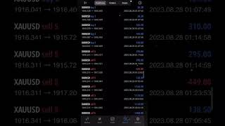 Trading Gold (XAUUSD) with Exness Broker | Complete Gold Trading Strategy for Beginners #forex
