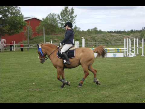 sandra och hot shot - HRK Lc/Lb (http://sandraxp...