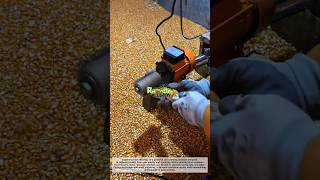 Amazing Corn Shelling Machine in Action! Fast &amp; Satisfying Process 🌽