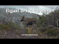 Jegerdrømmen: Elgjakt