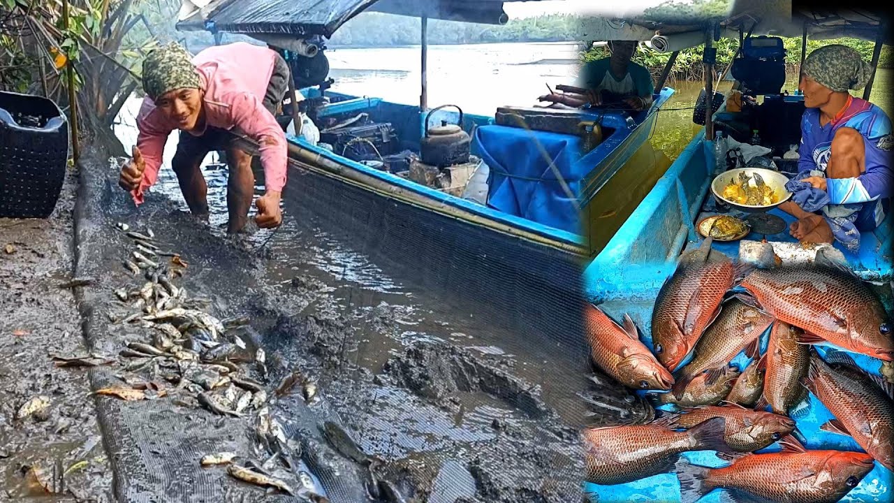 Pasang Perangkap Dapat Banyak Ikan Kakap Merah Langsung Masak dan Makan Bareng Teman
